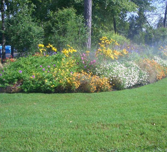 sprinkler080204_010 sprinkler080204_010