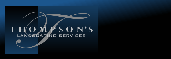 Landscaping Houston The Woodlands Cypress Tomball